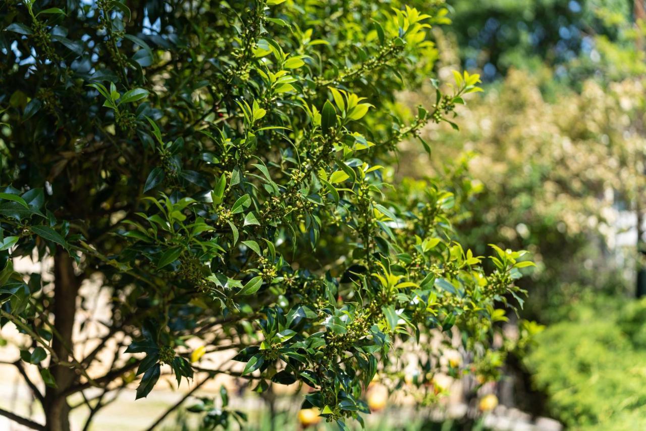 Вила Костадинов Warna Exterior foto